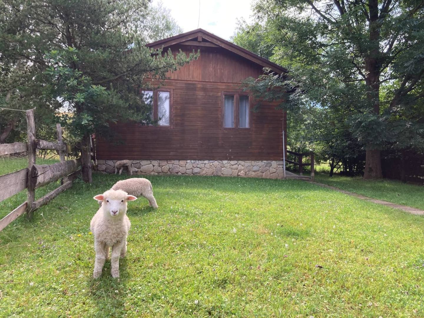 Chatka CasaKras v lete s ovečkou na dvore