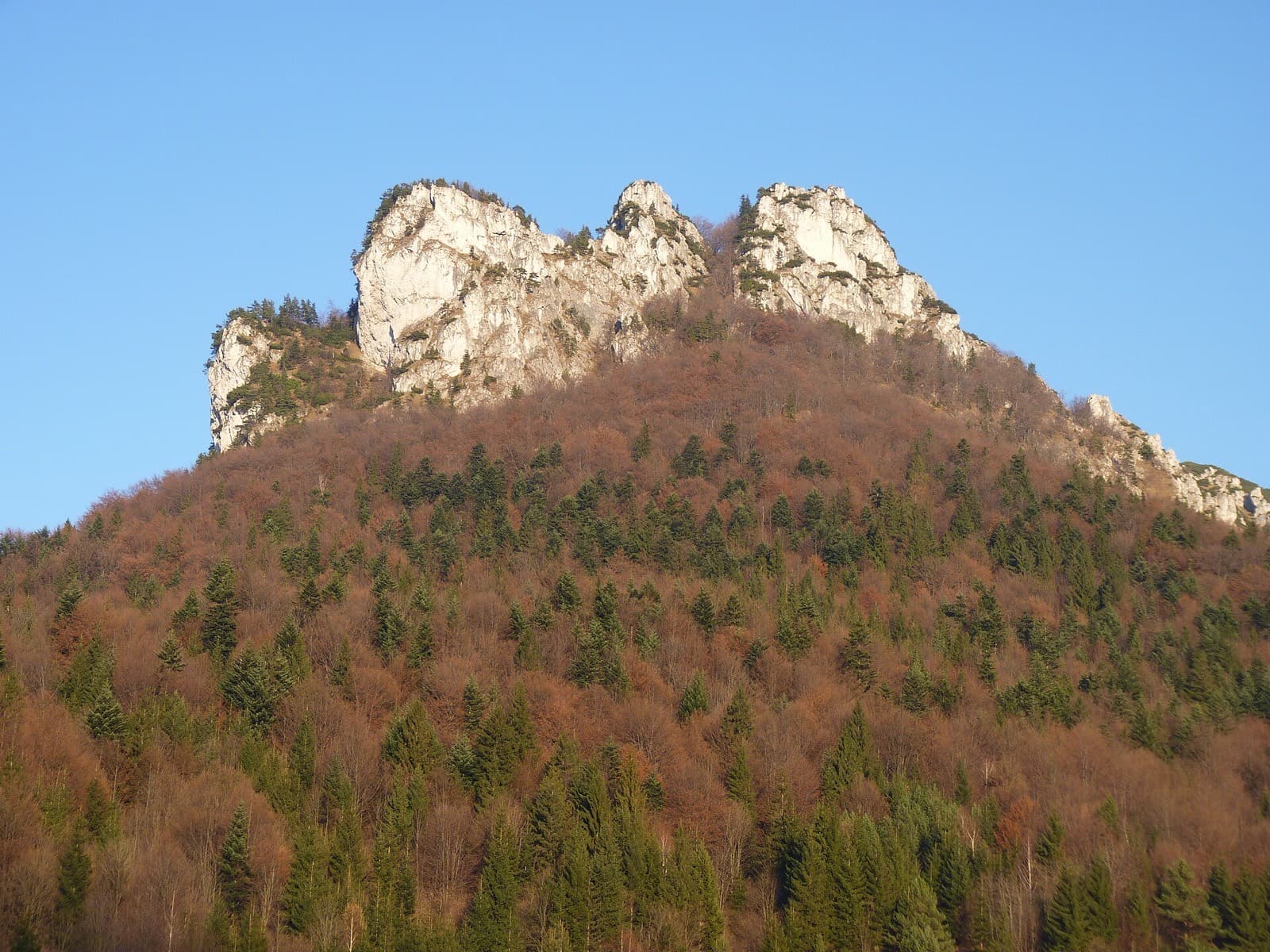 Malý Rozsutec v NPR Rozsutec